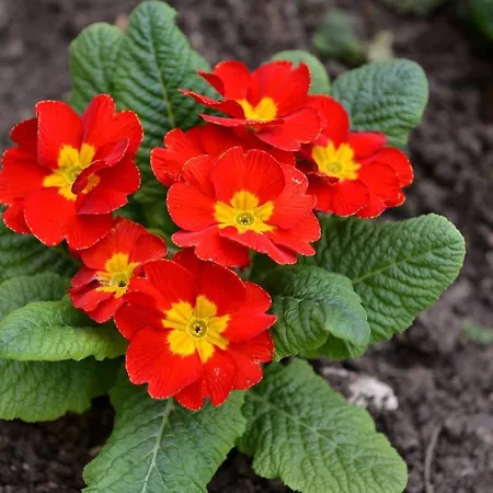 Anastasia Boutique 公寓式酒店