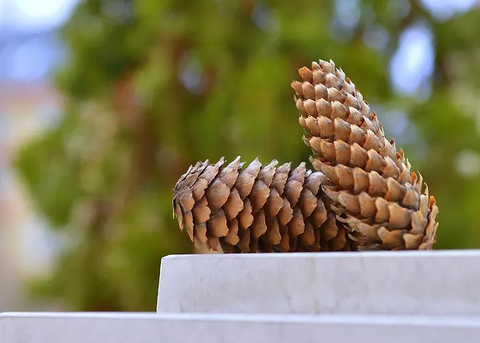 Aparthotel Anastasia Boutique Sofia