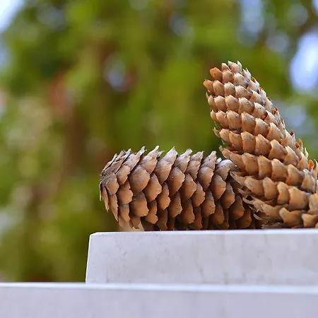 شقة فندقية Anastasia Boutique صوفيا