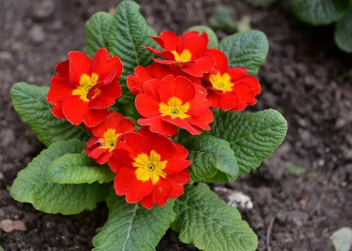 Anastasia Boutique Apart-hotel